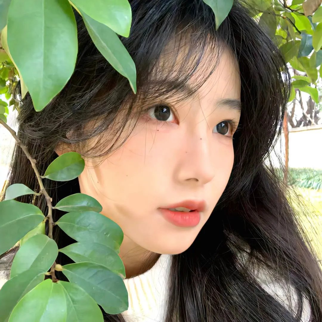 春光破碎