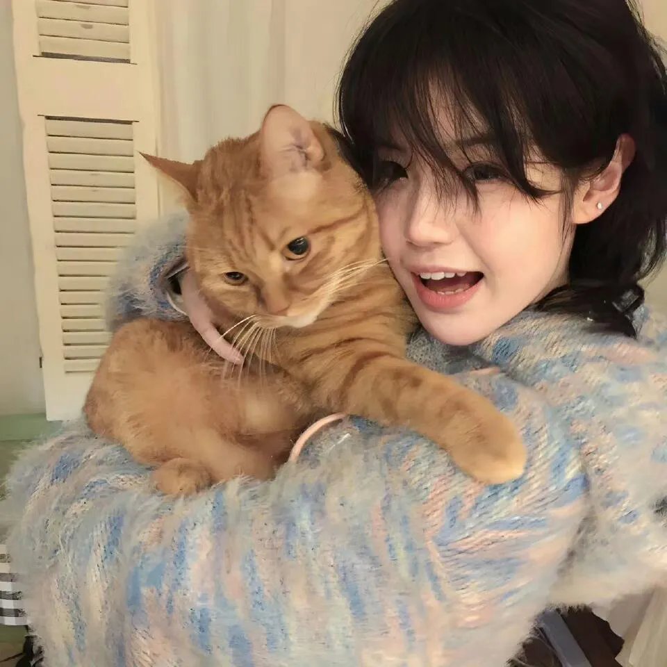 猫的葬礼