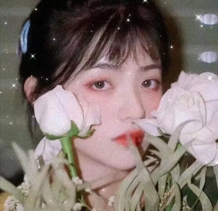 漂泊者
